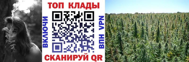 Где продают наркотики Якутск ГАШ  Марихуана  Галлюциногенные грибы  МЕФ  Alpha-PVP 