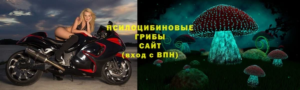 мяу мяу кристалл Бородино