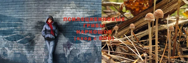 гашиш Бронницы