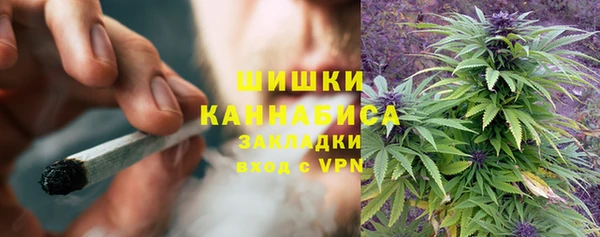 мяу мяу кристалл Бородино