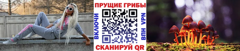 маркетплейс телеграм  Якутск  Галлюциногенные грибы мухоморы  где продают  